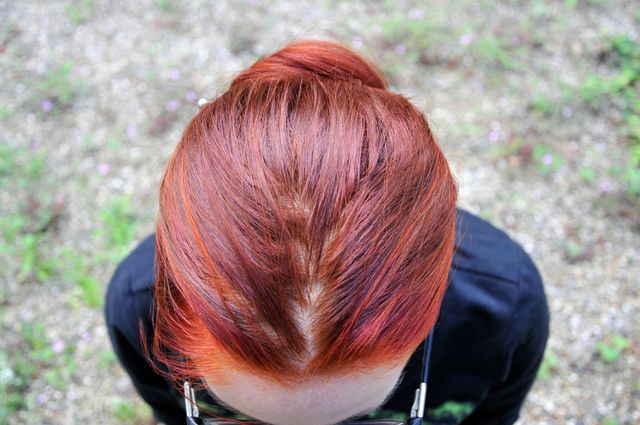 Bild