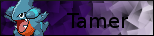 Tamer Tamer
