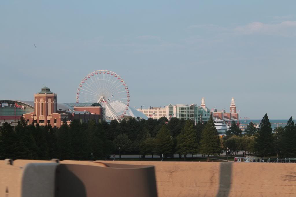 Recorriendo USA: de L.A. a Nueva York - Blogs de USA - DÍA 19. St. Louis y Chicago (7)