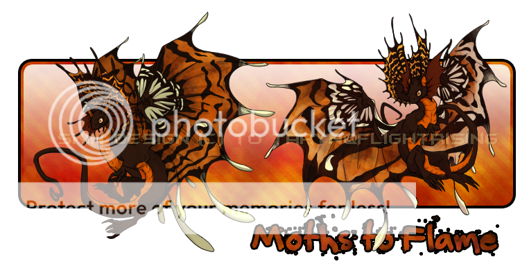 Contest-skin-display-1_zps325d83c5.png