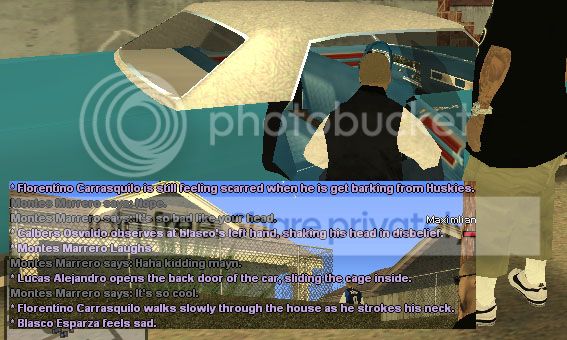 SS325_zps78d4792e.jpg