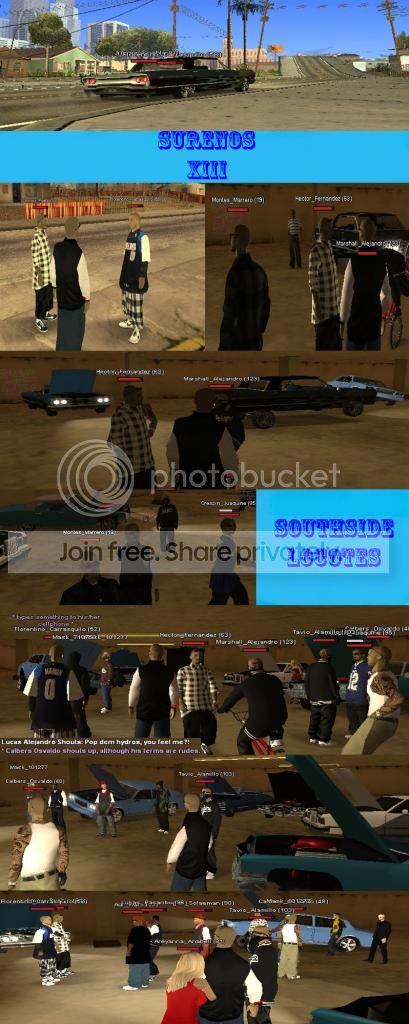 SS332_zps7dbad66e.jpg