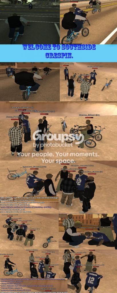 SS335_zps82dd6d9b.jpg
